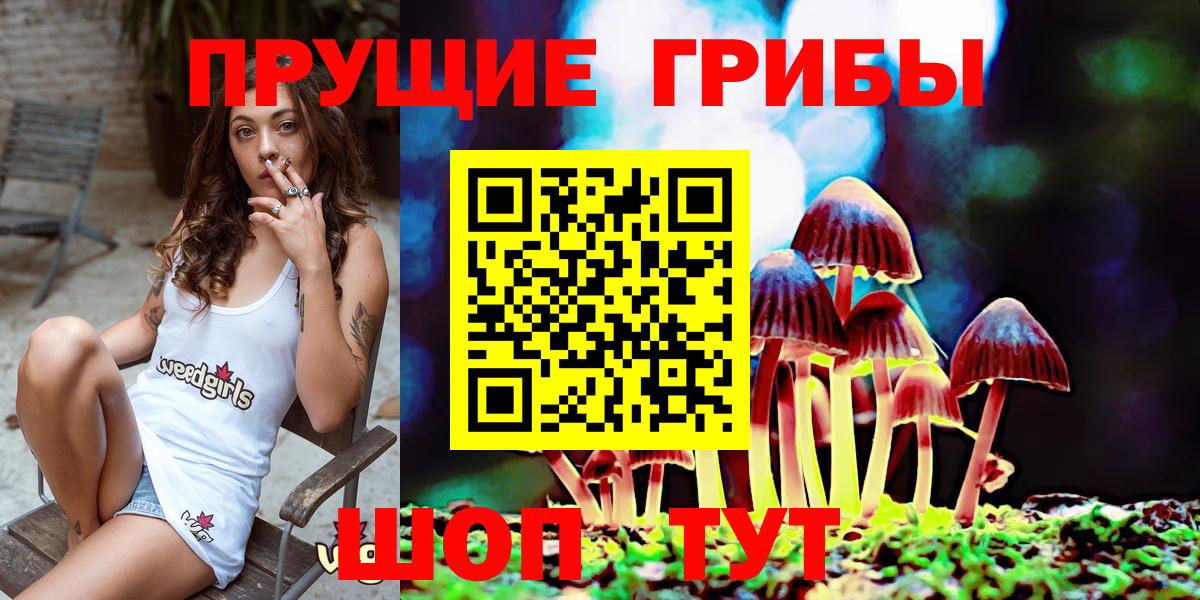 Галлюциногенные грибы прущие грибы Гуково