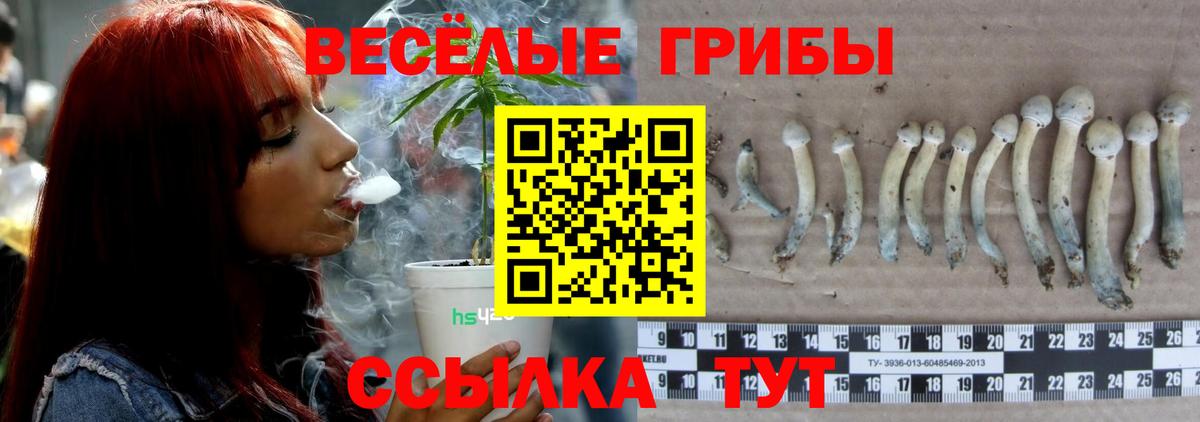 Гуково  Псилоцибиновые грибы Psilocybe  Вход с VPN 